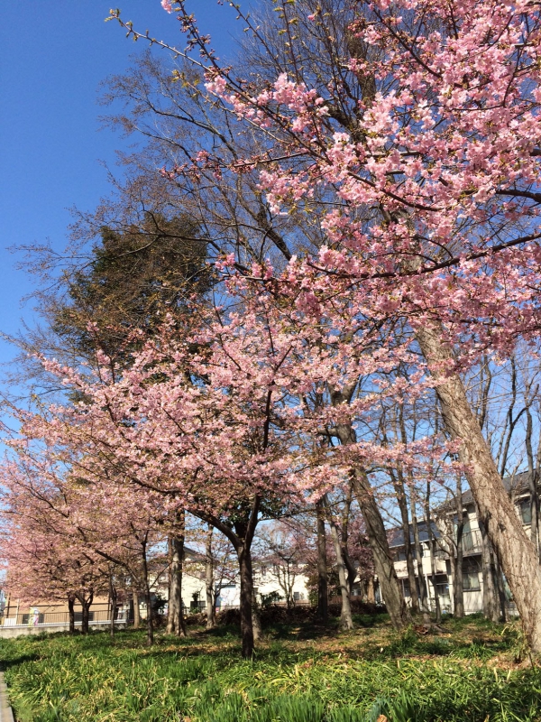 一年が経ちます